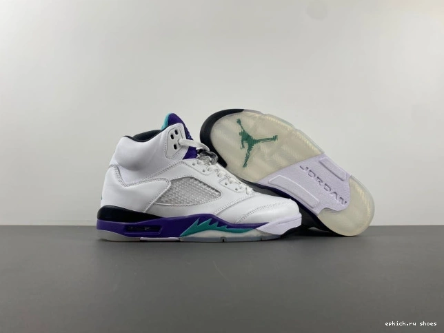 Cheap Air Grape 5 Jordan 136027-108 (2013) Retro 0817